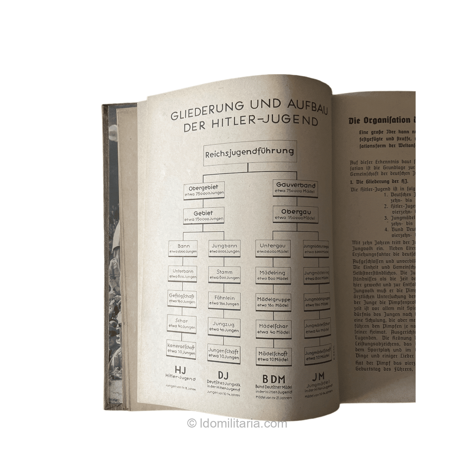Very Rare Die Organisation der HJ Aufbau, Gliederung, Anschriften - 1937 edition - Image 7