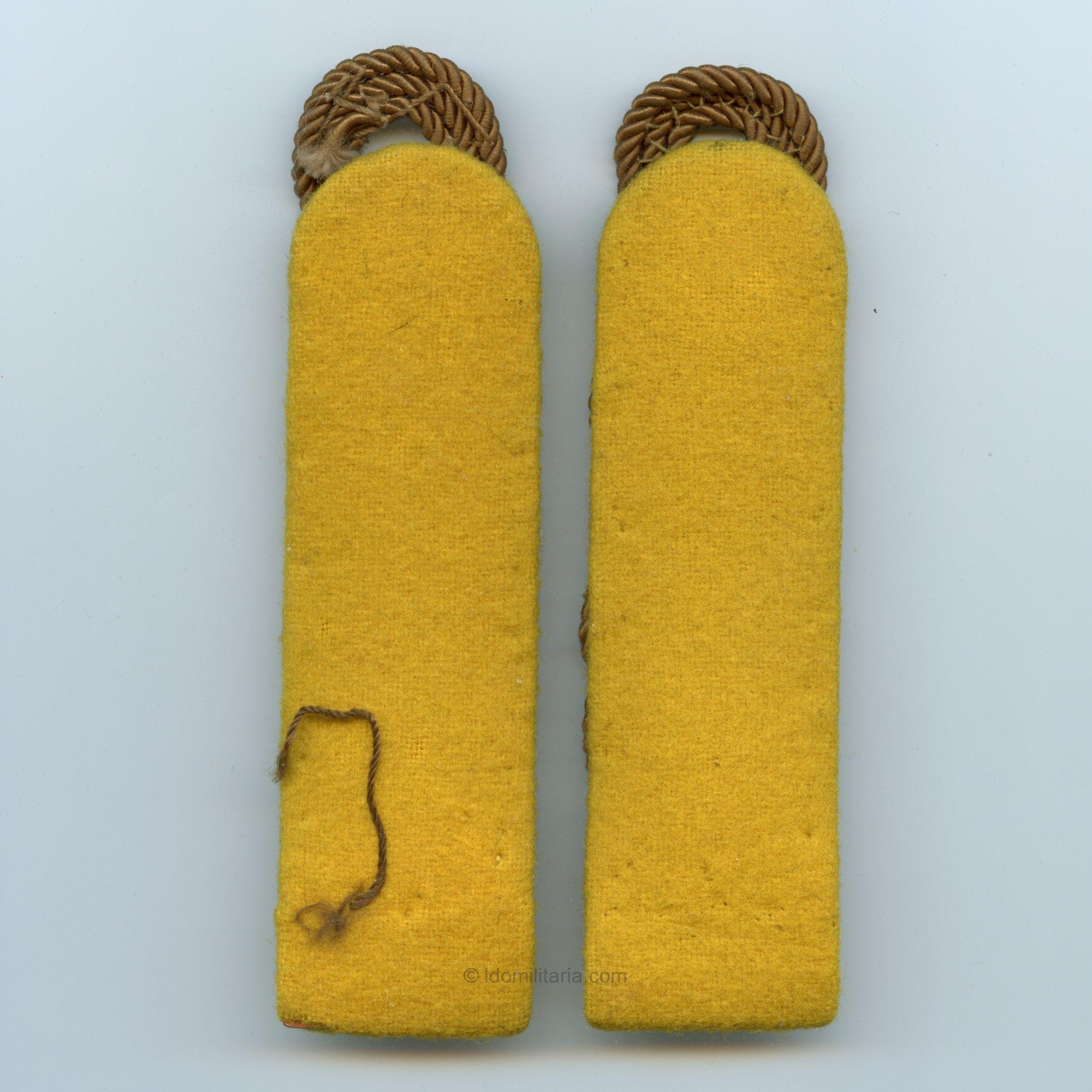 NSDAP Führeranwärter Ordensburg school shoulder boards - Image 2