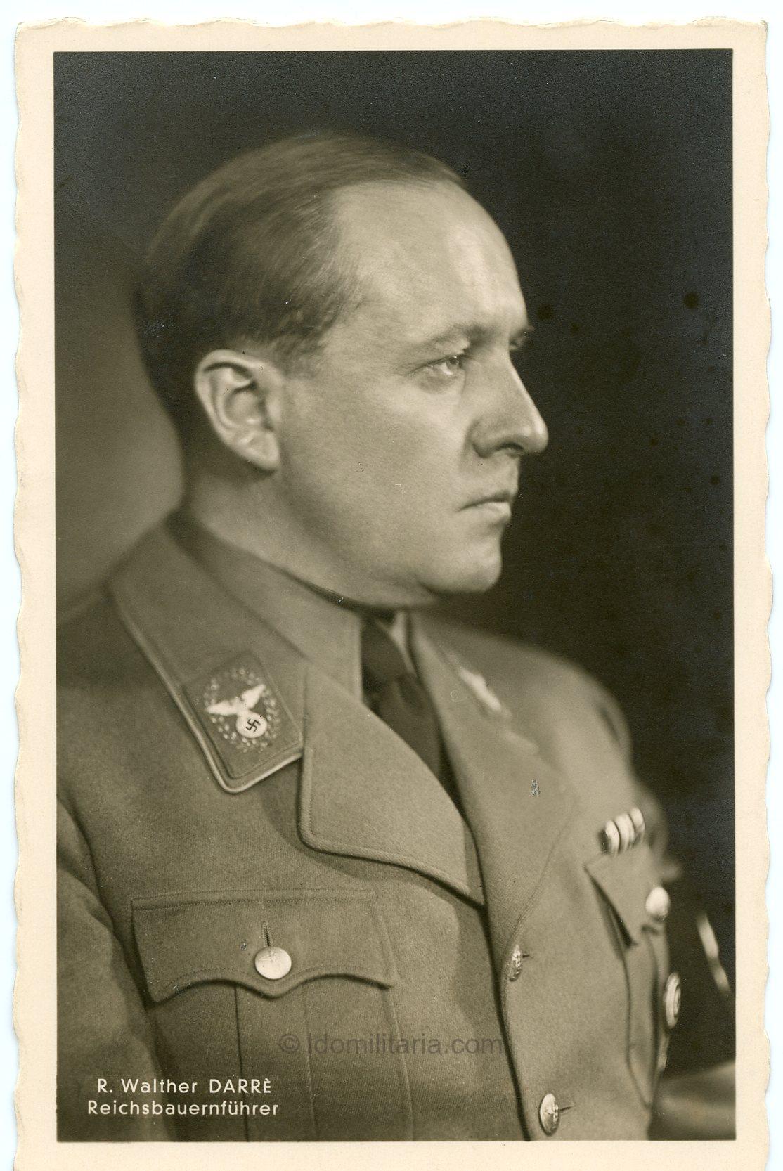 Reichsbauernführer Richard Walther Darré - Hoffmann Postcard ''Rijksinstituut voor oorlogsdocumentatie removed''