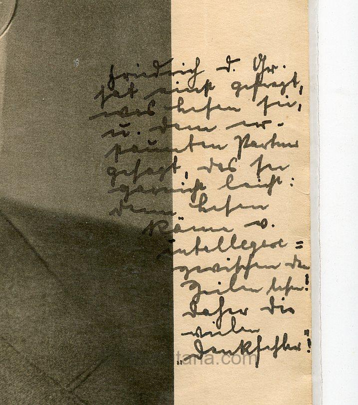 Large Size Stahlhelmbund Führer Franz Seldte photo with dedication - Image 2