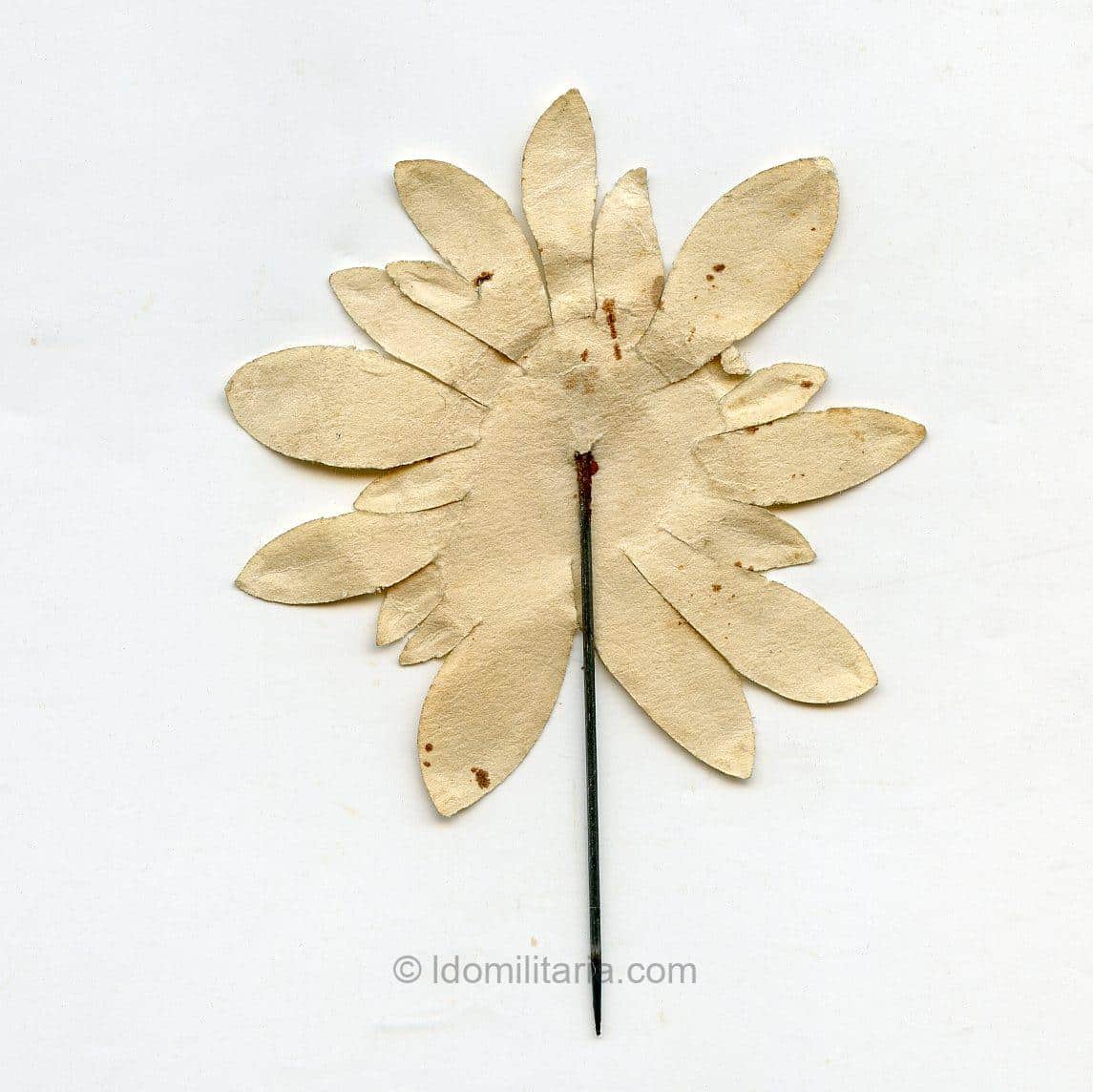 NSDAP sympathie paper flower pin (3) - Image 2